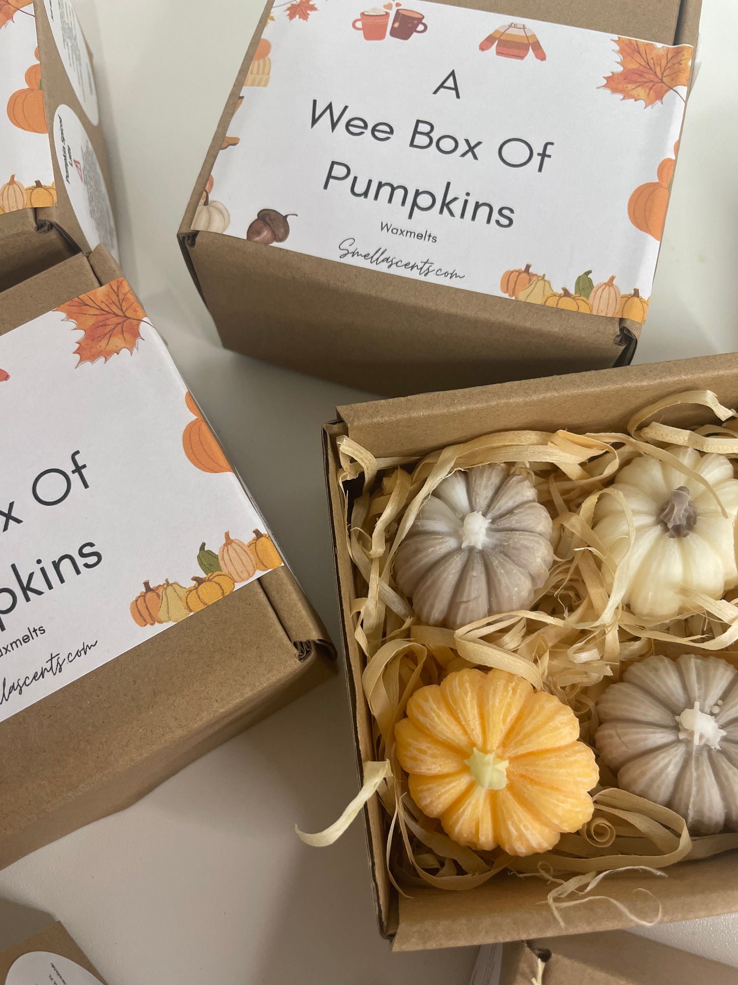 A ‘Wee’ Box Of Pumpkins