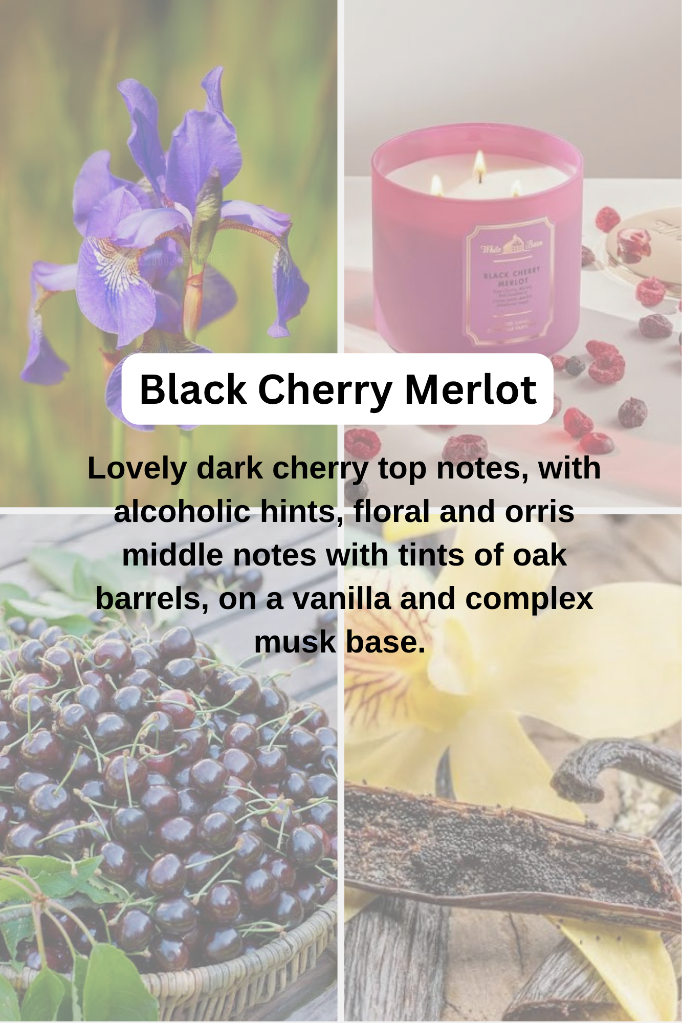 Summer Waxmelt Scents