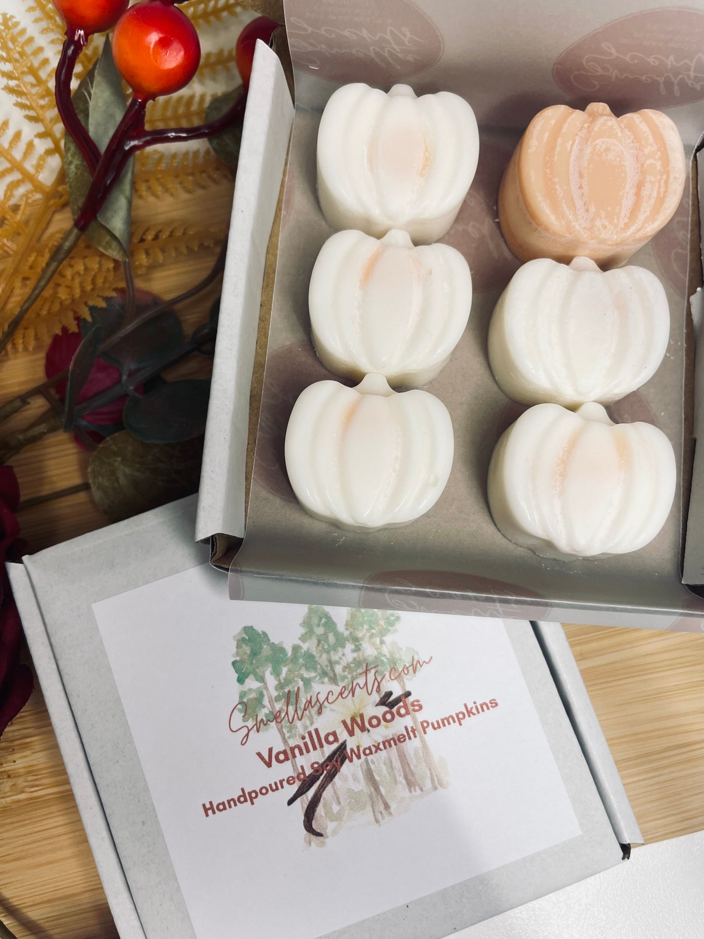 Autumn Scents Individual Waxmelt Pumpkin packs