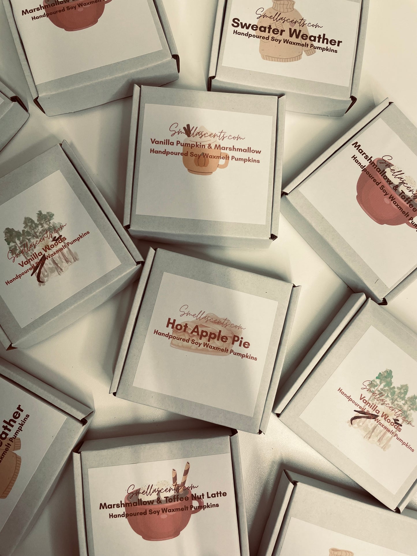 Autumn Scents Individual Waxmelt Pumpkin packs