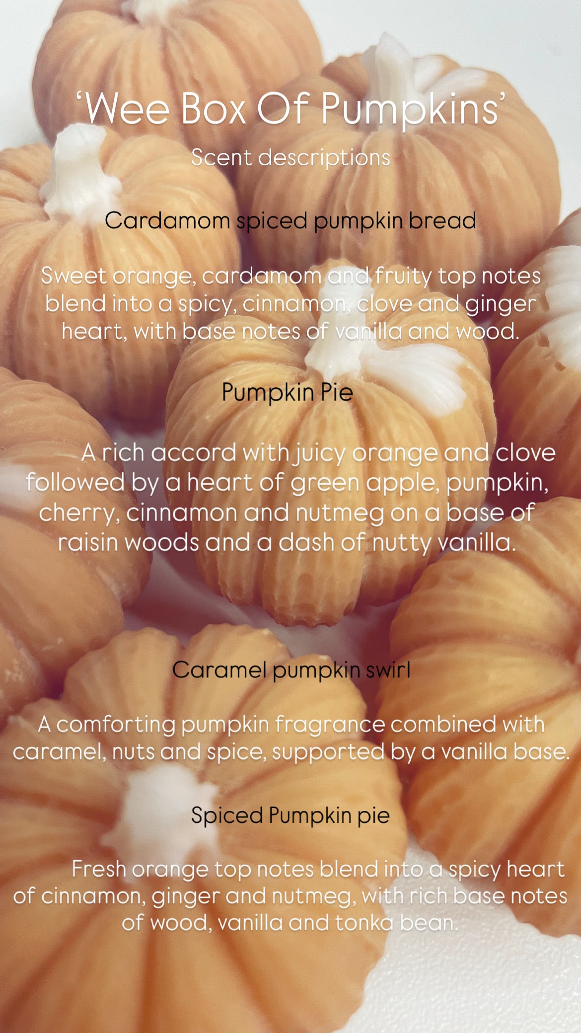 Wee Box Of Pumpkins - Soy Waxmelts