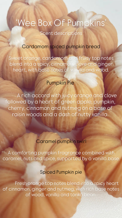 Wee Box Of Pumpkins - Soy Waxmelts