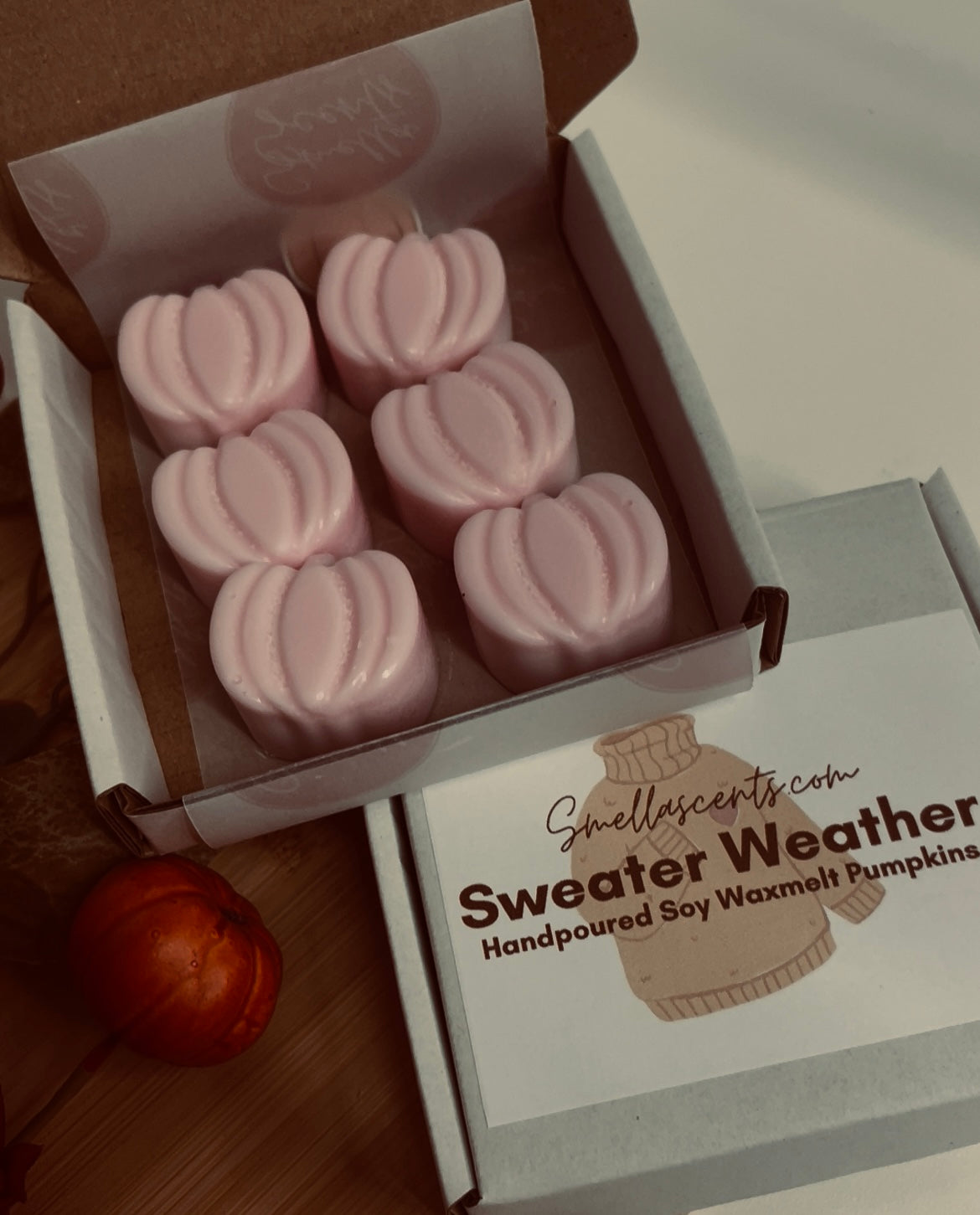 Autumn Scents Individual Waxmelt Pumpkin packs