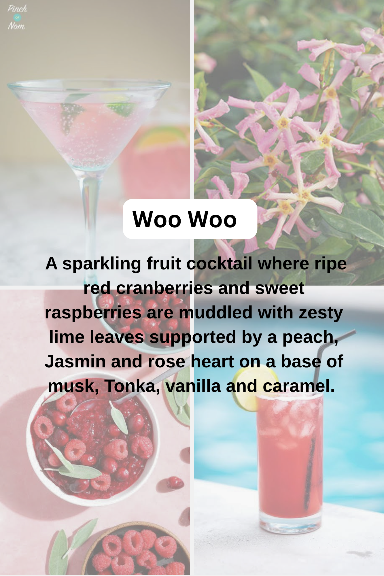 Summer Waxmelt Scents