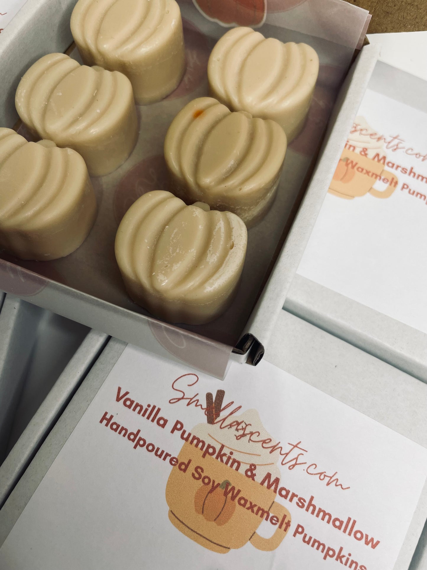 Autumn Scents Individual Waxmelt Pumpkin packs