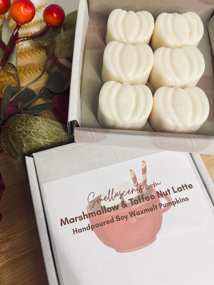 Autumn Scents Individual Waxmelt Pumpkin packs