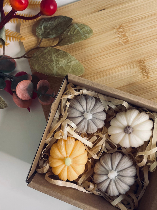 A ‘Wee’ Box Of Pumpkins