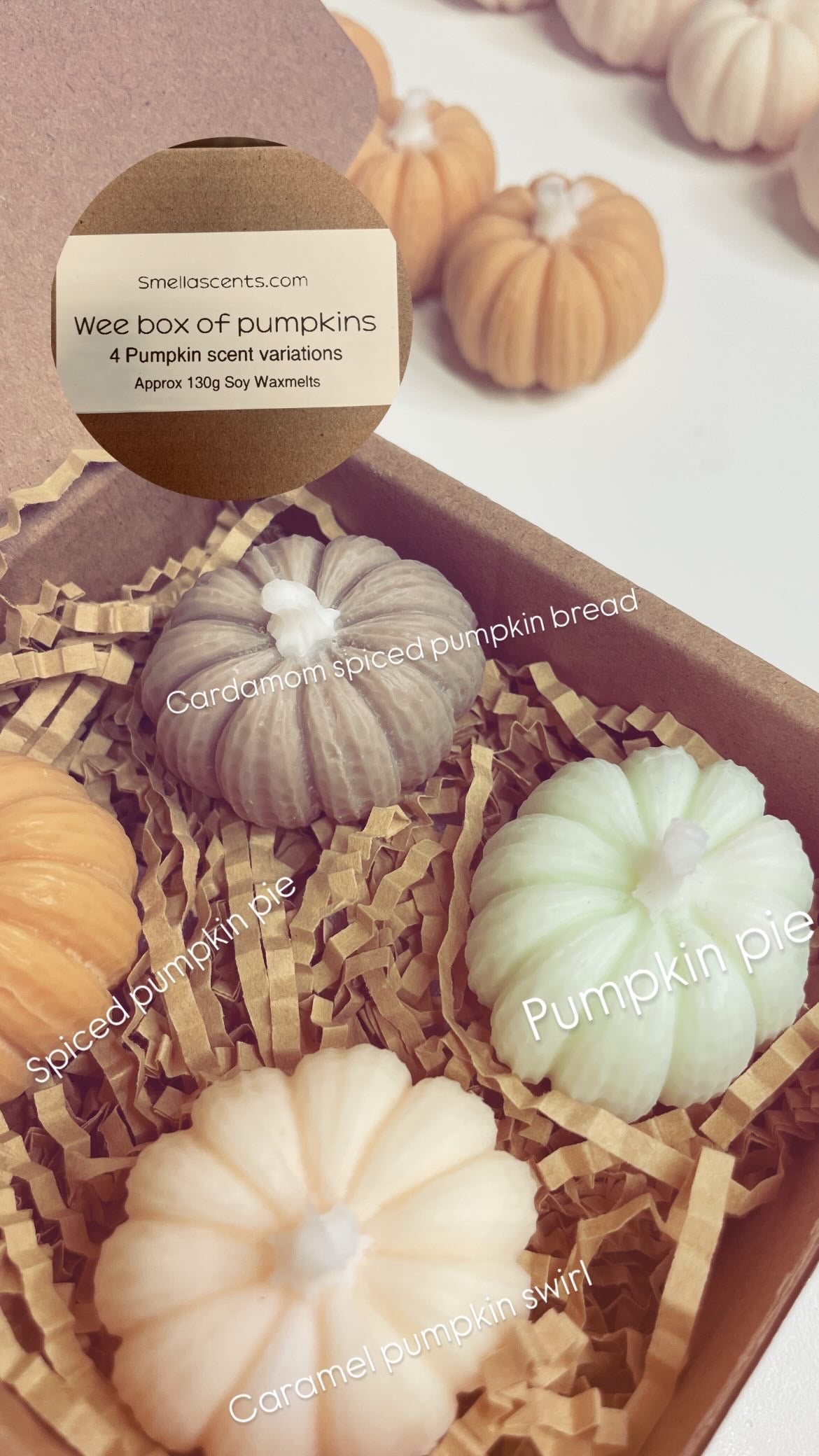Wee Box Of Pumpkins - Soy Waxmelts