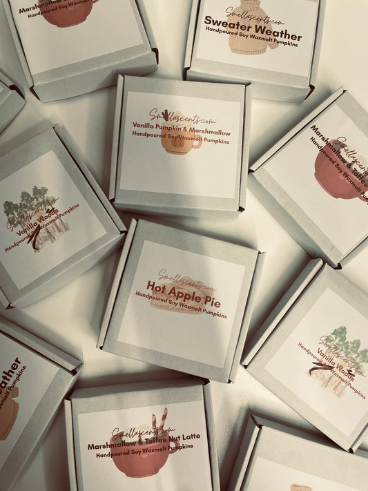 Autumn Scents Individual Waxmelt Pumpkin packs