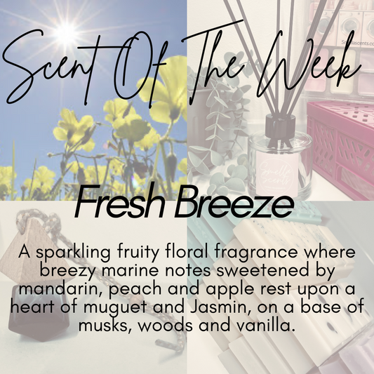 ✨ Scent Of The Week - Fresh Breeze ✨